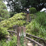 祝・世界遺産登録 鳩森八幡神社で、“富士山パワー”をゲット！ 〈開運〉で夢をつかもう!!d-laboパワースポット女子部 Vol.1