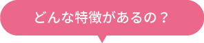 どんな特徴があるの？