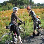 自転車美女入門