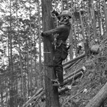 森の仕事、木の仕事が今熱い！～50年先、100年先を見据える、林業男子、女子たちの底力～