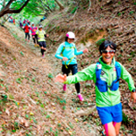 ストレスを放ちに森へ行こう~新しい山の楽しみ方トレイルランニング~