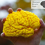 Shonan Brain Fair 2015～脳情報研究のポスター発表会～
