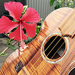 ukulele studio 七里ヶ浜 presents はじめてのウクレレ