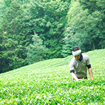 北野エース × d-labo静岡 タイアップセミナー「目からウロコの日本茶講座」お茶はもともと薬だった！日本茶の裏話！！