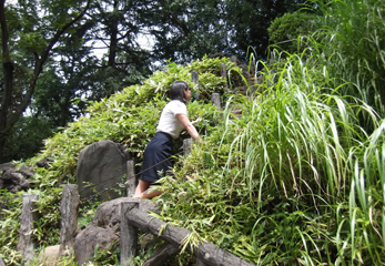 登山道に戻ると、ここからは、かなり急勾配