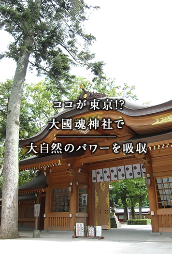 ココが東京!? 大國魂神社で大自然のパワーを吸収