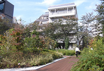 屋上庭園の緑あふれるスペース