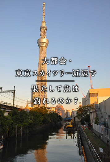 大都会・東京スカイツリー近辺で果たして魚は釣れるのか？