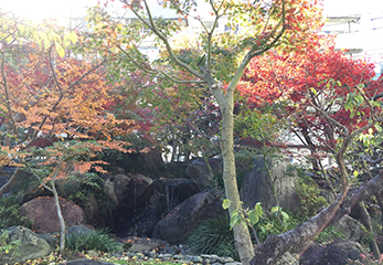 日本庭園