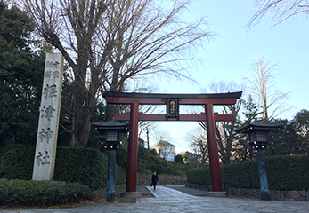 根津神社 鳥居