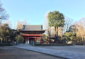 根津神社 楼門