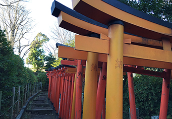 千本鳥居