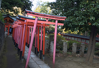 千本鳥居 別アングル