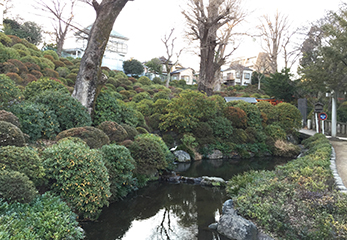 千本鳥居付近のつつじ