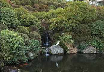 境内の池の様子