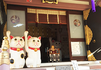 今戸神社 ペアの招き猫