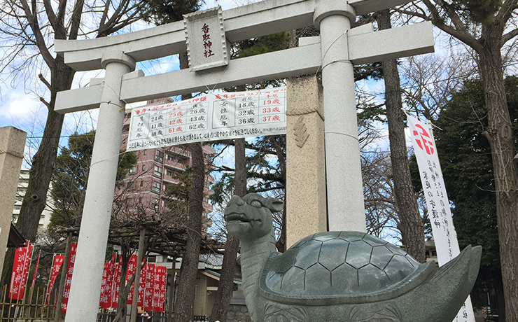 亀有香取神社 鳥居と狛亀