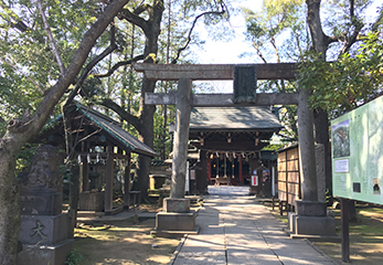 赤坂氷川神社 鳥居