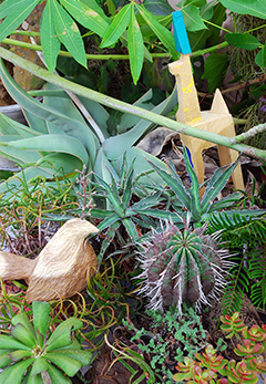 展覧会「持塚三樹と植物 Around the Sun」の様子