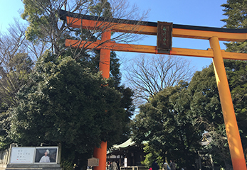 川越氷川神社 鳥居