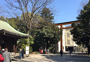 川越氷川神社 境内