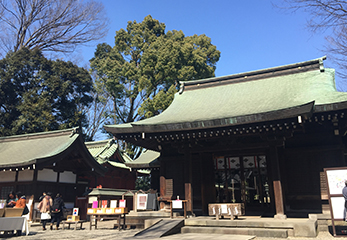 川越氷川神社 境内