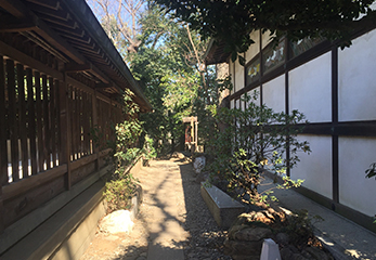 川越氷川神社 奥へ