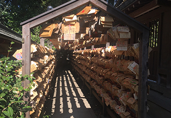 川越氷川神社 絵馬トンネル