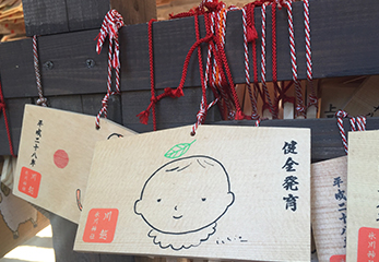 川越氷川神社 絵馬