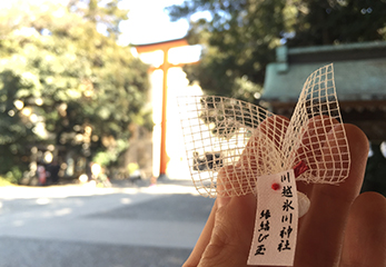 川越氷川神社 縁結び玉