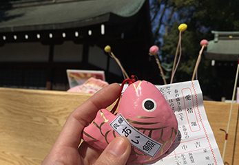 川越氷川神社 あい鯛みくじ