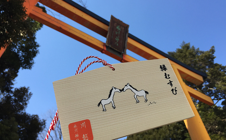 川越氷川神社 鳥居と絵馬