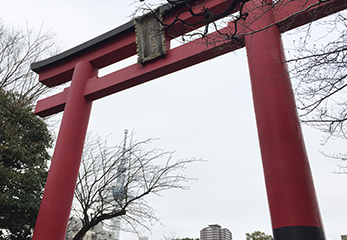 亀戸天神社 鳥居