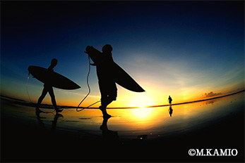 サーフィン中の写真 ©M.KAMIO