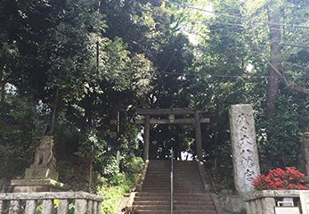 代々木八幡宮 鳥居