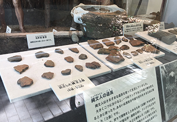 代々木八幡宮 土器などの出土品