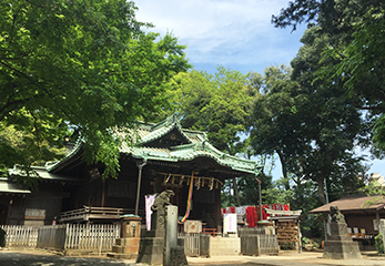 代々木八幡宮 拝殿