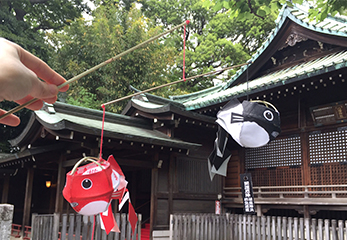 代々木八幡宮 金魚提灯