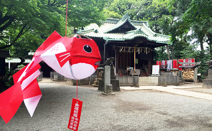 代々木八幡宮 金魚提灯