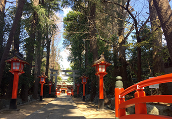 馬橋稲荷神社 三の鳥居までの参道