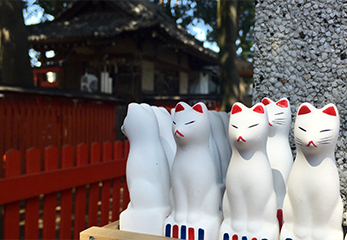 馬橋稲荷神社 「願かけ狐」