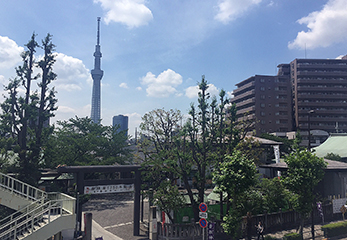 JR・東武線「亀戸駅」