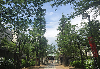 亀戸香取神社 境内の様子