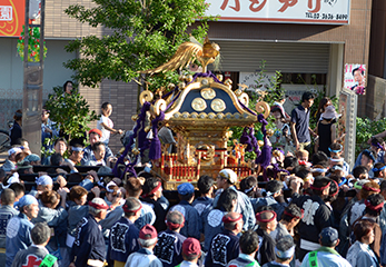 こんにゃく神輿