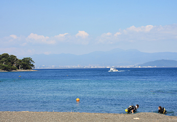 海洋実習でよく訪れる、西伊豆・大瀬崎のビーチ。