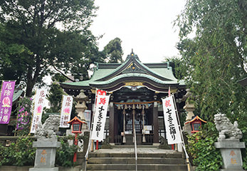 川越八幡宮 社殿