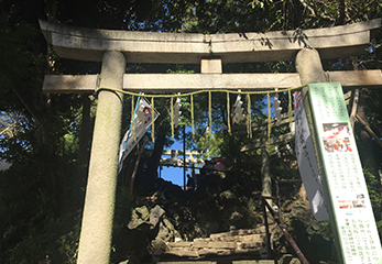 多摩川浅間神社 鳥居