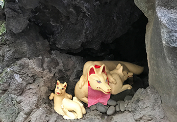 洞穴でくつろぐ親子の狐
