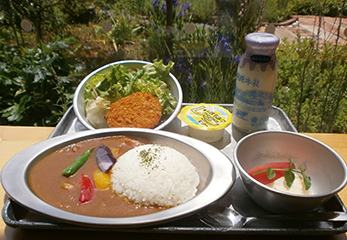 おいしい学校・給食