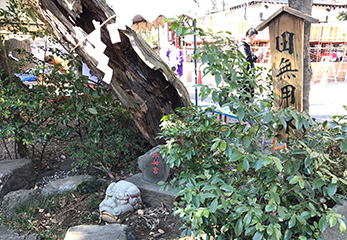 田無神社 田無用水跡